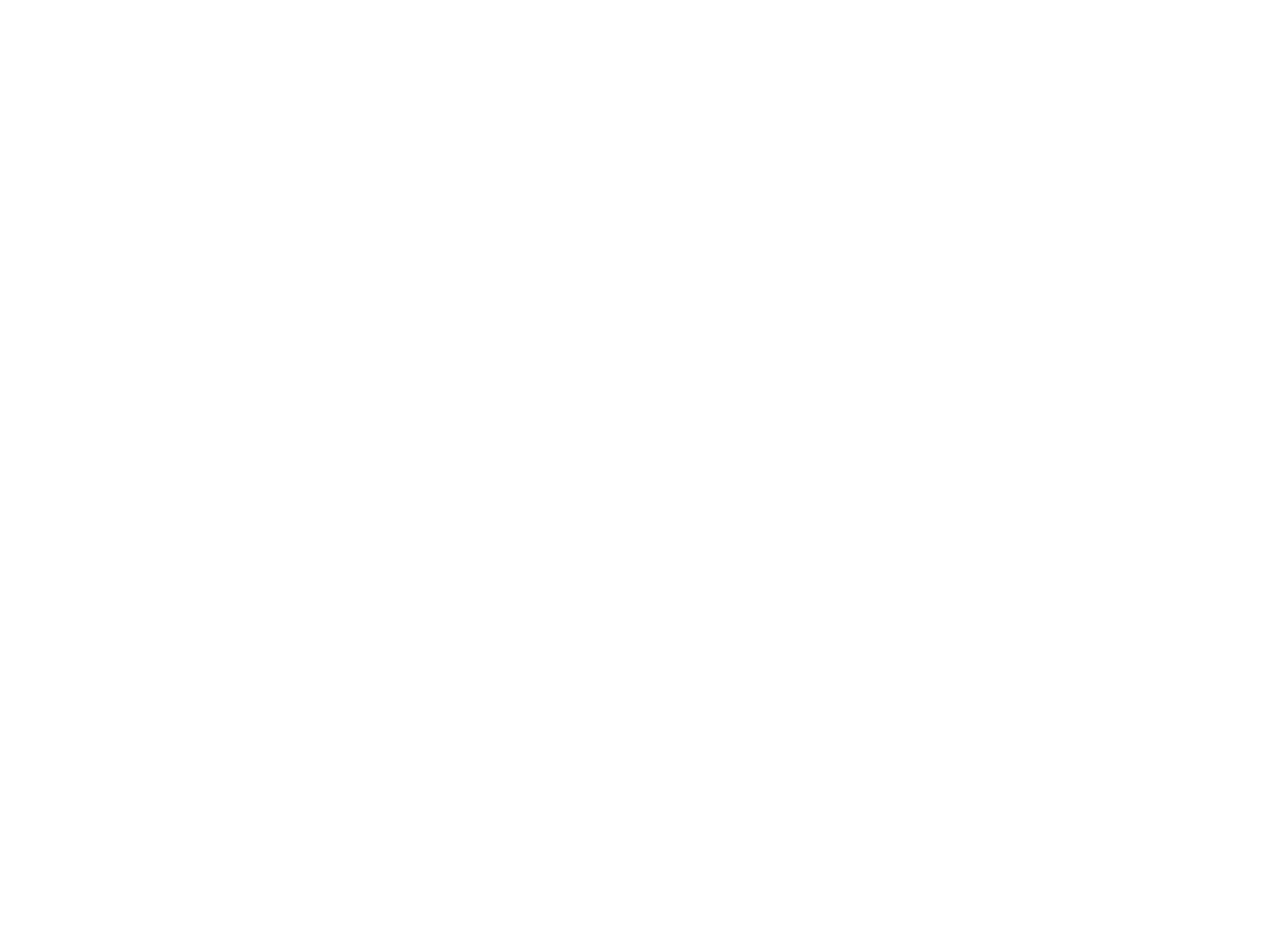 RFID Egypt